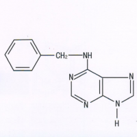 6-Benzylaminopurine