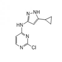 2-chloro-N-(5-cyclopropyl-1H-pyrazol-3-yl)pyrimidin-4-amine