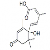 Abscisic Acid