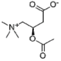 Acetyl L-Carnitine