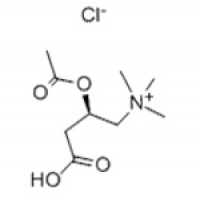 Acetyl-L Carnitine