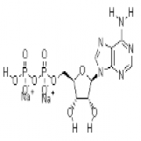 Adenosine-5'-diphosphate disodium salt