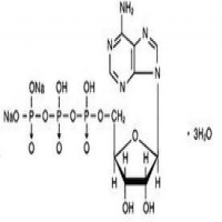 Adenosine disodium triphosphate