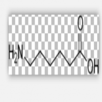 Aminocaproic Acid