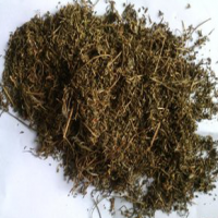 Artemisinin leaves Extract