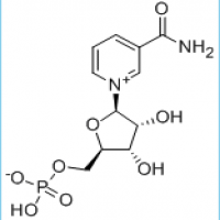 Beta-nicotinamide mononucleotide