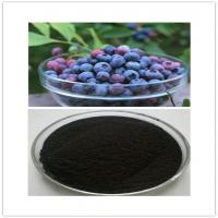 Bilberry Extract