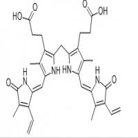 Bilirubin