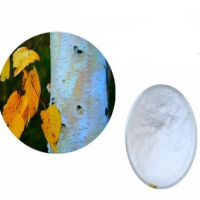 Birch bark extract