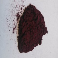 Black Currant Extract