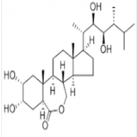 Brassinolide