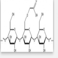 Carboxymethyl Starch