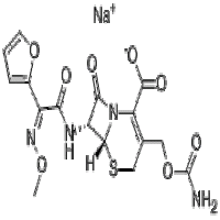 Cefuroxime Sodium(Sterile)