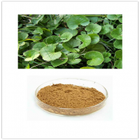 Centella Asiatica Extract