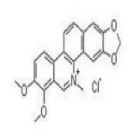 Chelerythrine