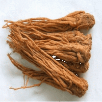 Chinese Angelica Extract