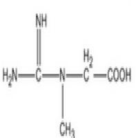 Creatine Anhydrous