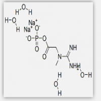 Creatine Phosphate Sodium Salt