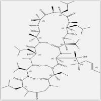 Cyclosporin A