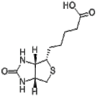 D-Biotin