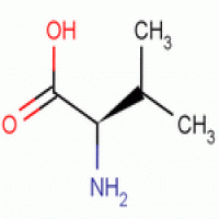 D-Valine