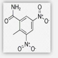 Dinitolmide