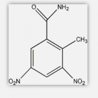 Dinitolmidum