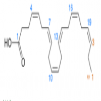 Docosahexaenoic Acid