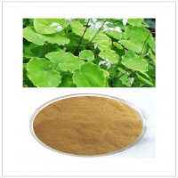 Epimedium Extract