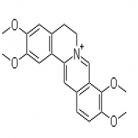 Fibrauretin