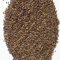 Flatstem Milkvetch Seed Extract