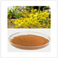 Forsythia Extract