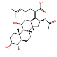 Fusidic Acid