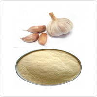 Garlic Extract