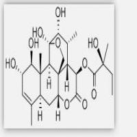 Glaucarubin