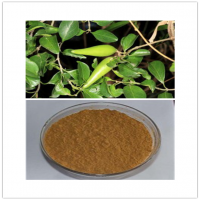 Gymnema sylvestre extract