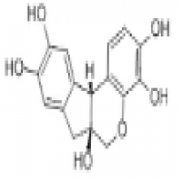 Haematoxylin