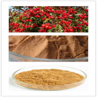 Hawthorn Fruit Extract