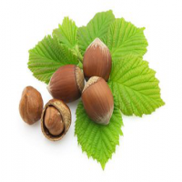 Hazelnut extract