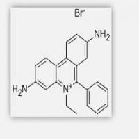 Homidium Bromide