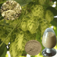 Hops Extract