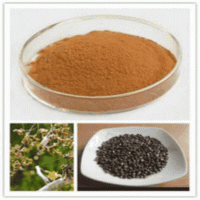 Hovenia Dulcis Thunb extract