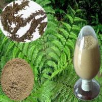 Huperizine Serrara Extract