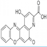 Imipraminum