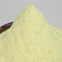 Irinotecan Hydrochloride