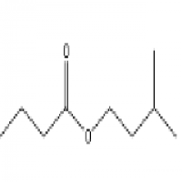 Isoamyl n-Butyrate