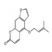 Isoimperatorin