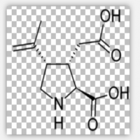 Kainic Acid