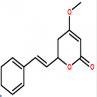 Kava Extract