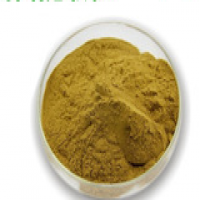 Knotgrass (polygonum aviculare) extract